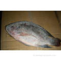 Pescado de tilapia negro redondo y redondo congelado 300-500G